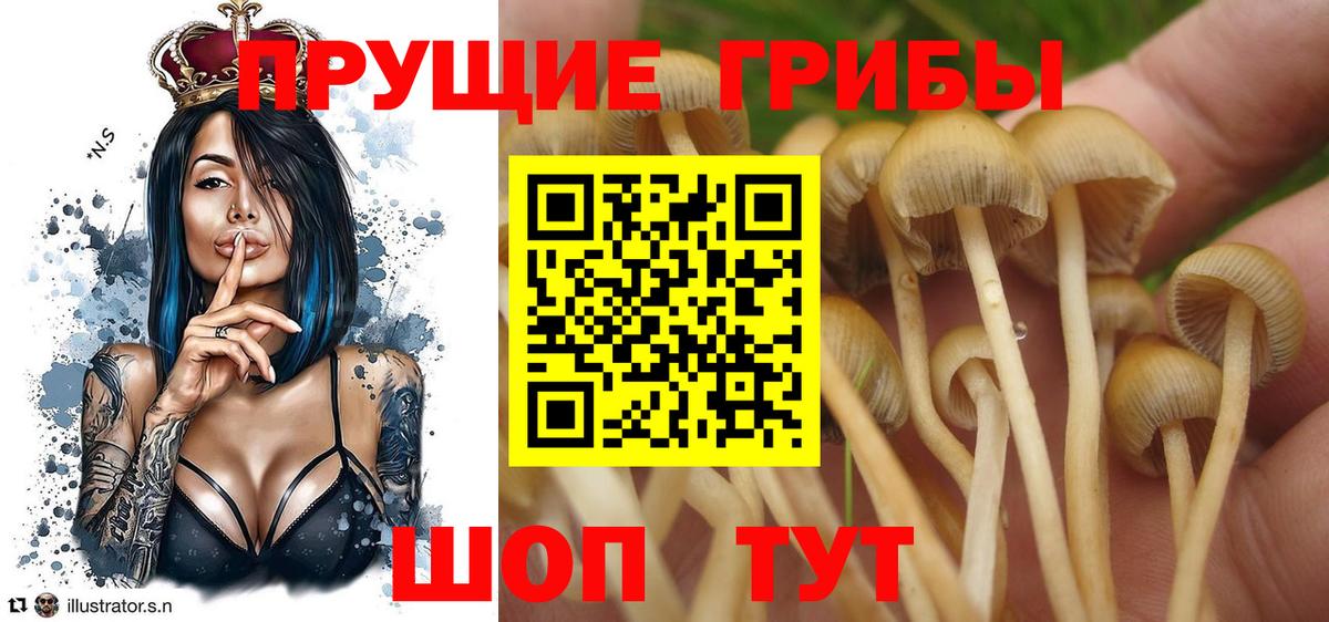 Псилоцибиновые грибы ЛСД  Вход с VPN  Приморско-Ахтарск  Галлюциногенные грибы прущие грибы 