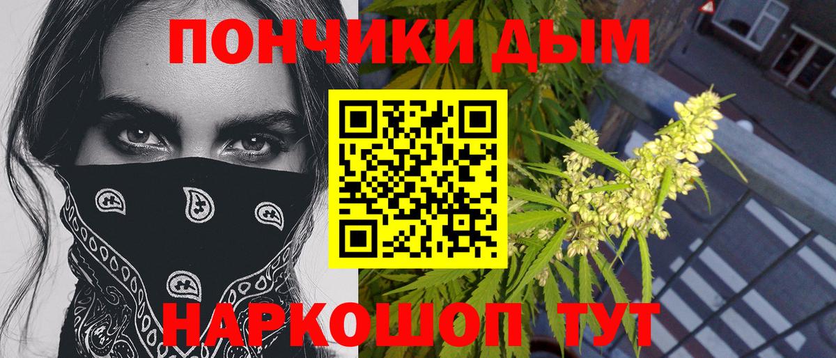 Бошки Шишки семена Приморско-Ахтарск